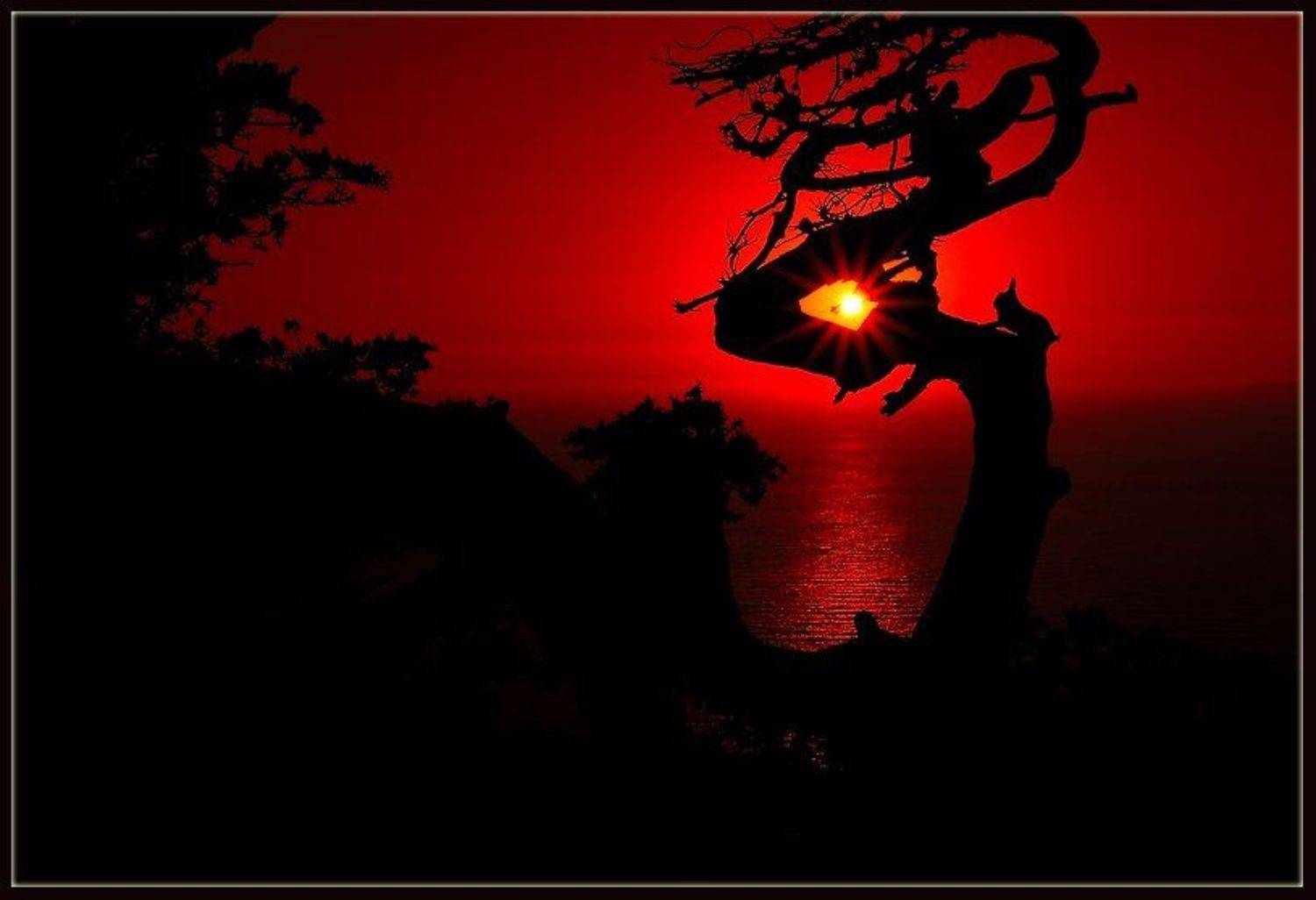 греция,родос,закат,солнце,деревья, Александр Константинов