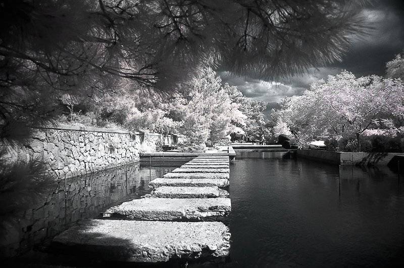 ir, токарь дмитрий, Токарь Дмитрий