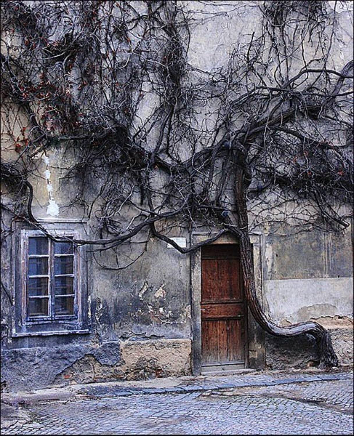 прага,всеми любимый кадр))), lucky_13