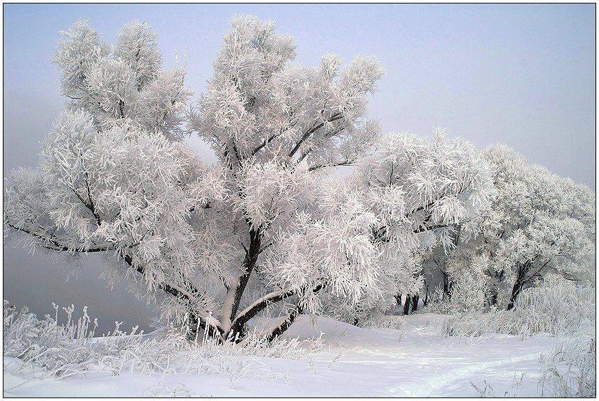 февраль, река, пахра, подмосковье, снег, иней, Григорий Иващенко