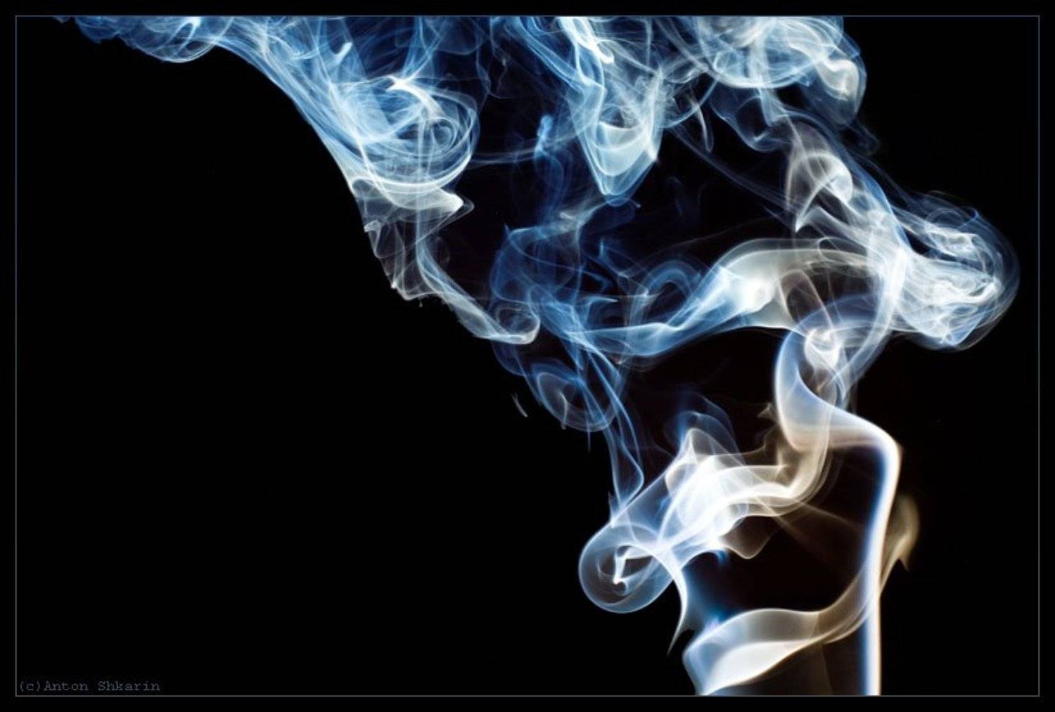 дым, Антон Шкарин