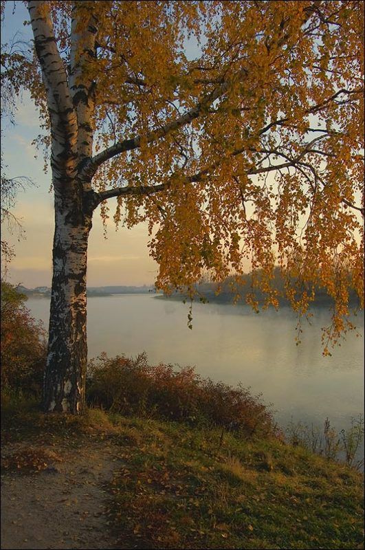 Над тихой рекой фото превью