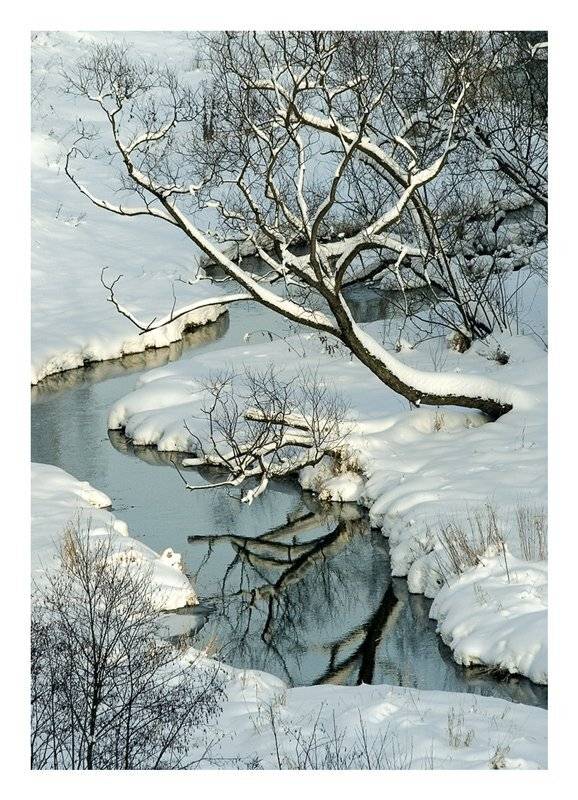 , Валерия Струнникова