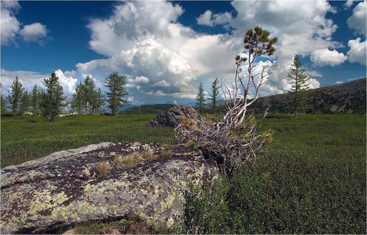 , Александр Устинович