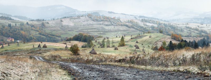 В предчувствии зимы фото превью