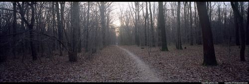 Ботанический сад, Москва