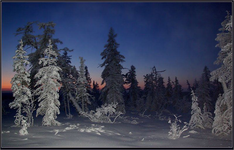 тайга, зима, мороз, заря, приполярье Полдень короткого дня фото превью