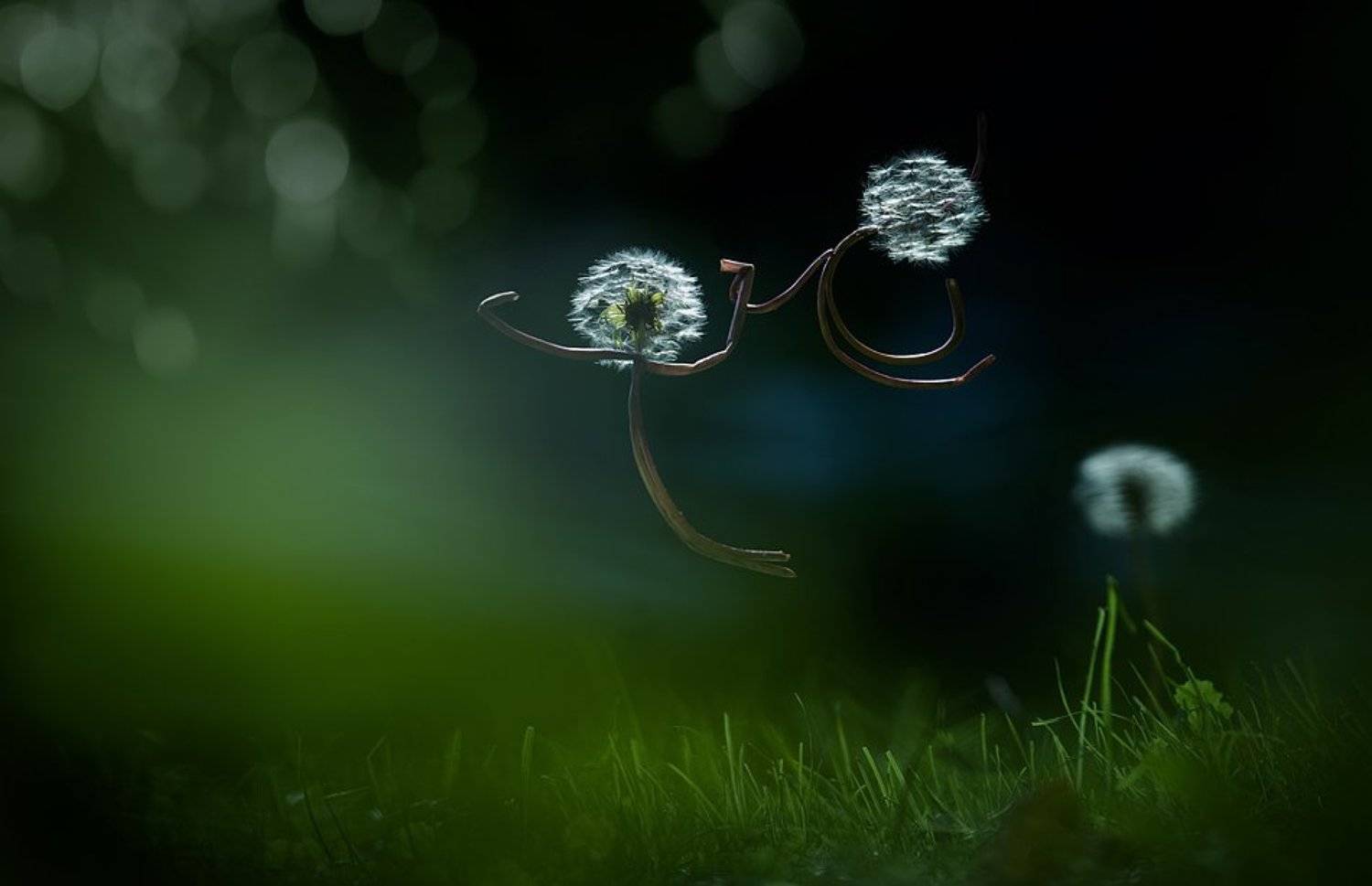 полёт, одуванчики, любовь, мечта, лето, Татьяна Гориловская