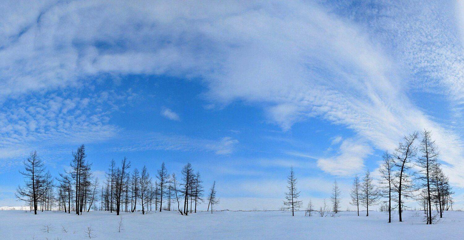 таймыр,зима, Vladimir