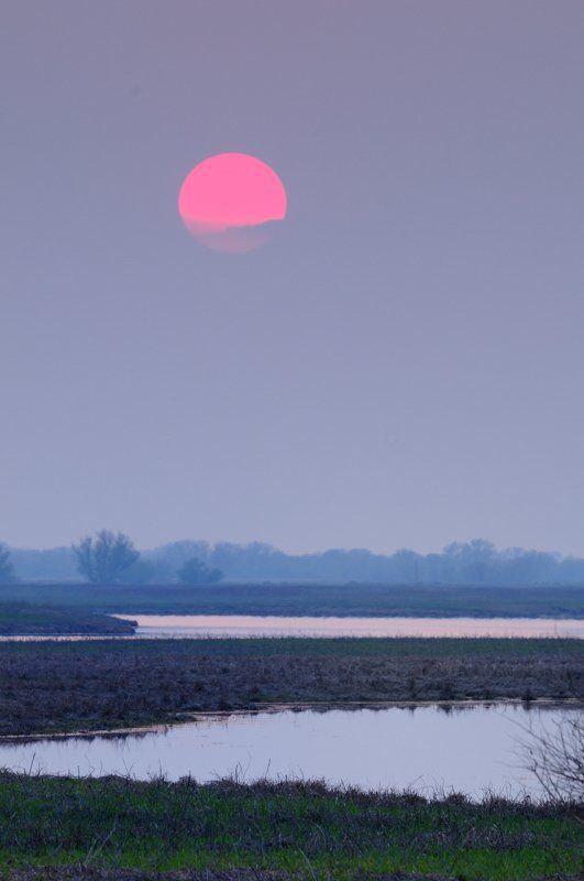 вечер.закат.облака.вода.разлив.солнце В облака. фото превью
