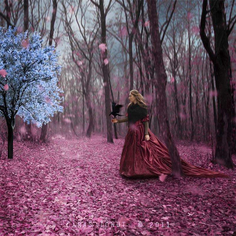 Alice and the mystery tree фото превью
