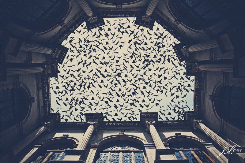 *** фото превью