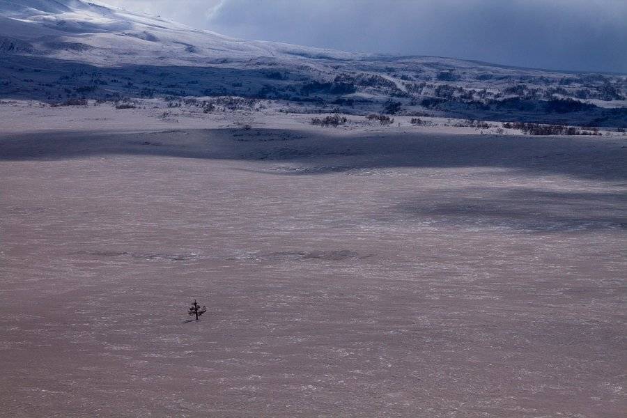 камчатка, вулкан, пепел, дерево, снег, извержение, кизимен, Денис Будьков