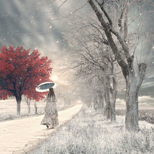 Alice and the mystery tree II