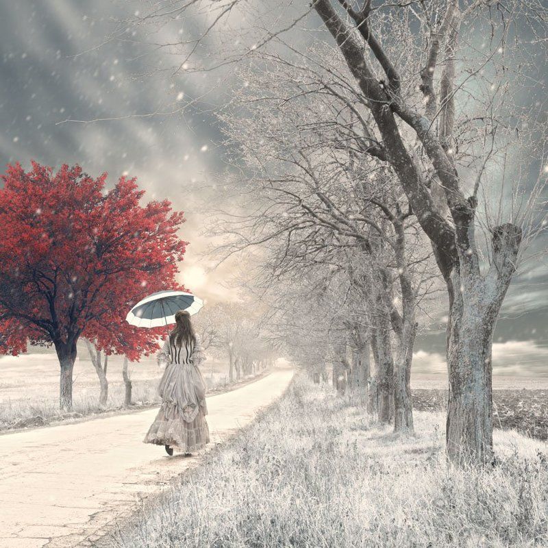 Alice and the mystery tree II фото превью
