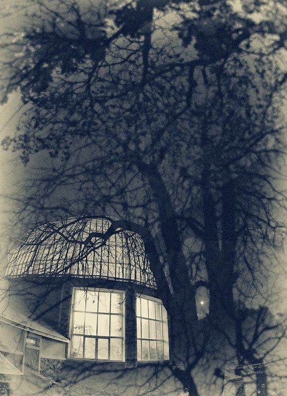 ночь, полнолуние /_\\ фото превью