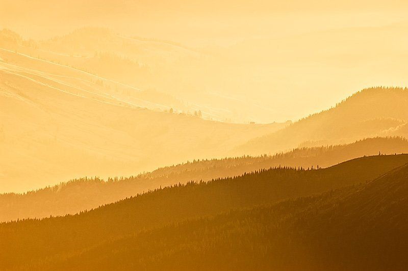 карпати, пейзаж Золотий ранок / Golden morning фото превью