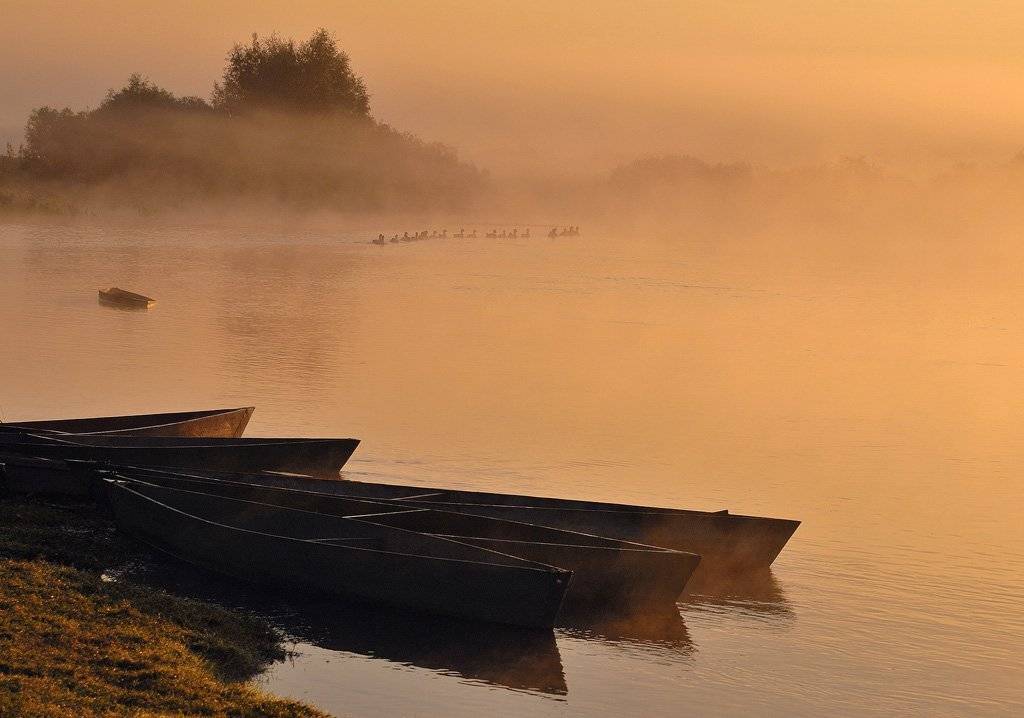 , Александр