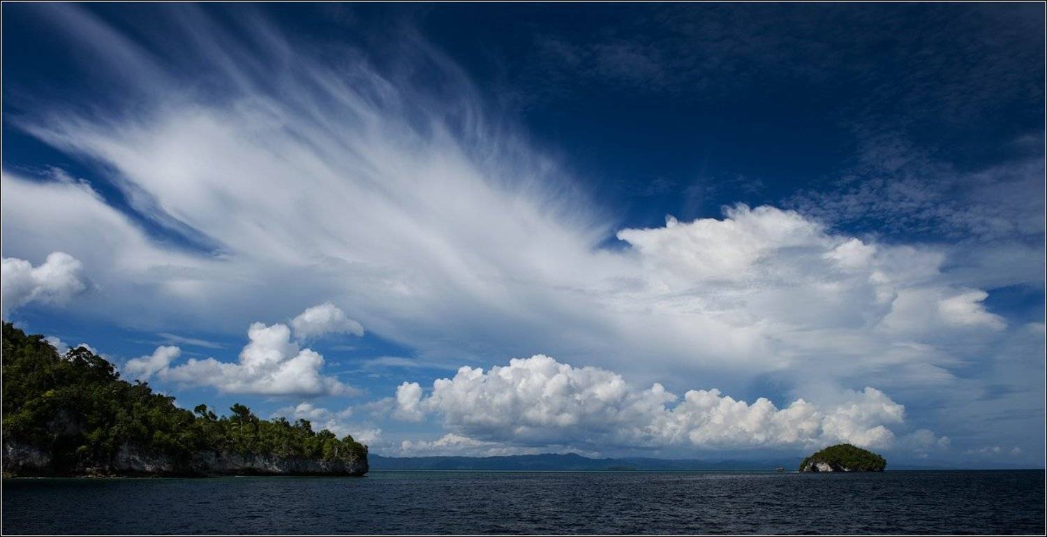 , Владимир Жданов