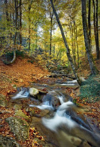 Сказочный Хапхал