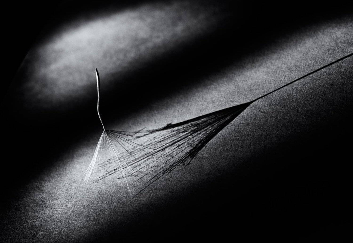 , Татьяна Аверина