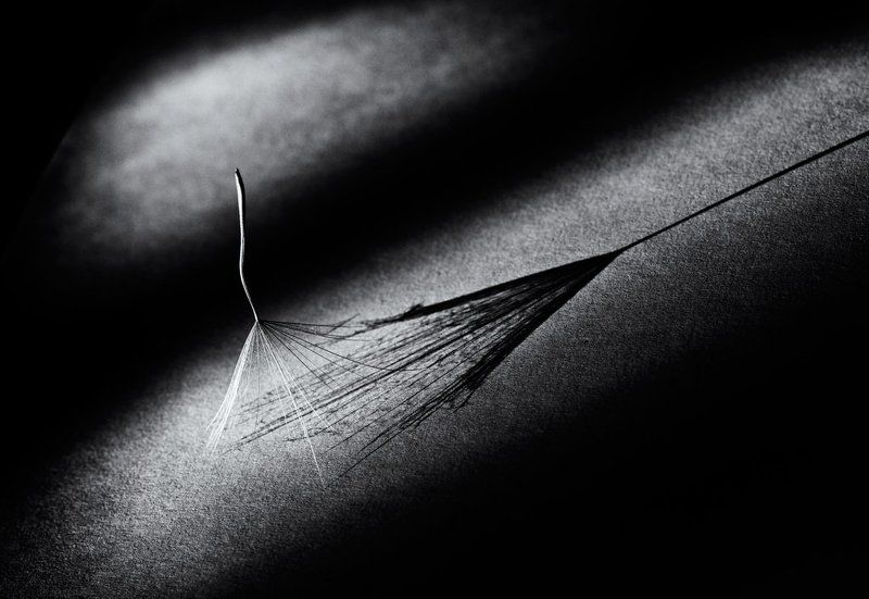 Танец с тенью... фото превью