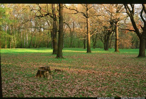 Ботанический сад им. Н.В. Цицина РАН