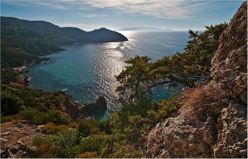 сонный остров