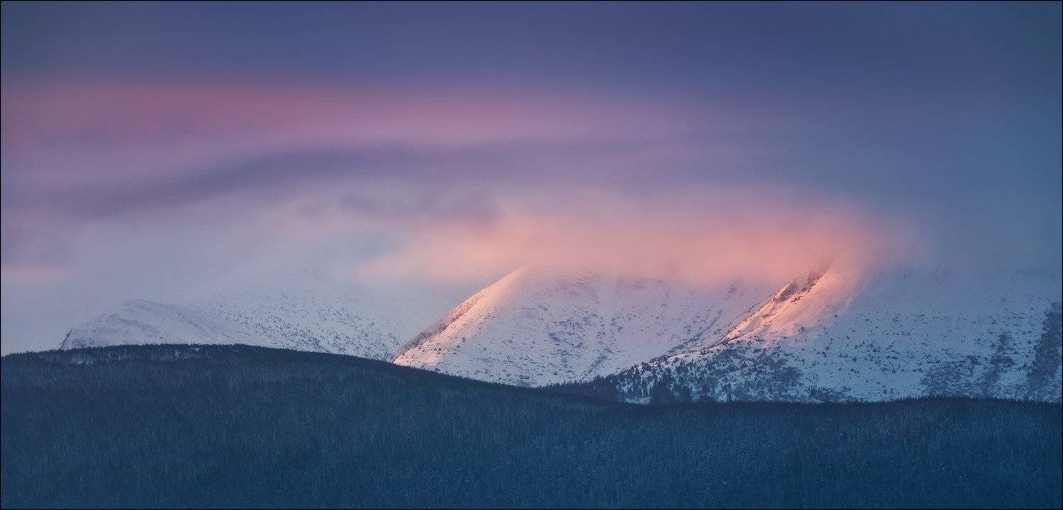 , Денис Кривой