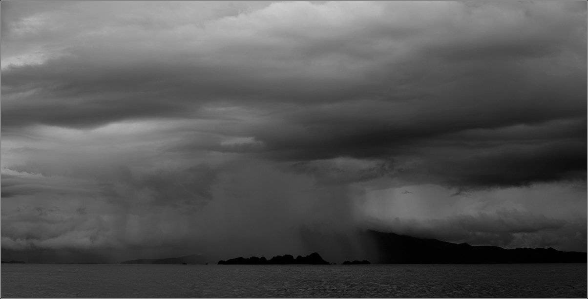 , Владимир Жданов