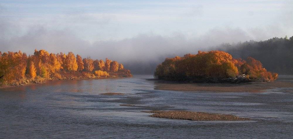 утро, туман, сибирь, река, ока, Николай Морский