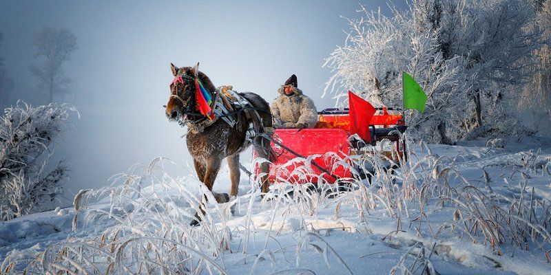 snow фото превью