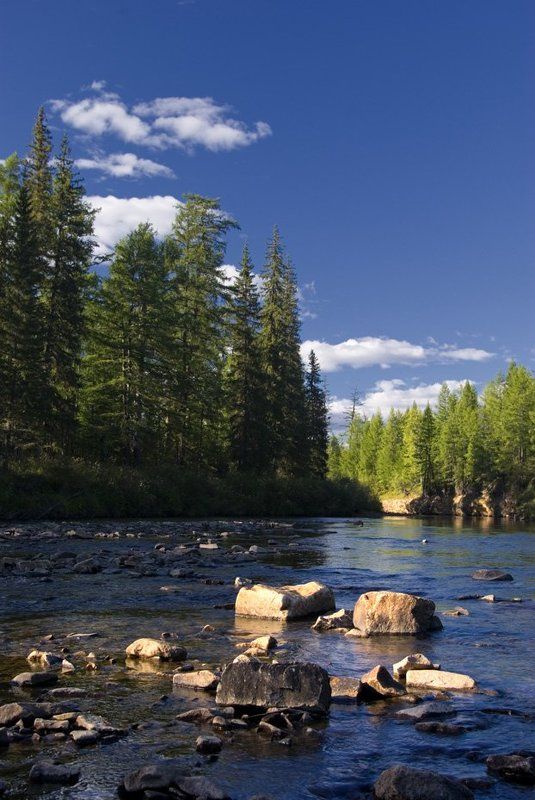 свет фото превью