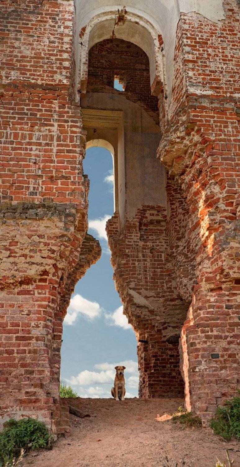 проводник, Владимир Кириченко (vlkira)