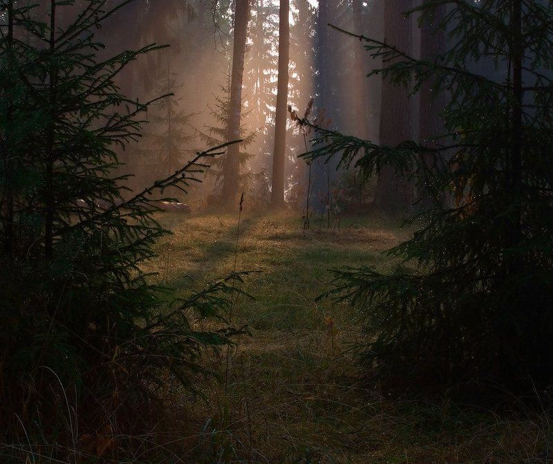 *** фото превью