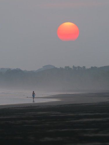 Навстречу солнцу