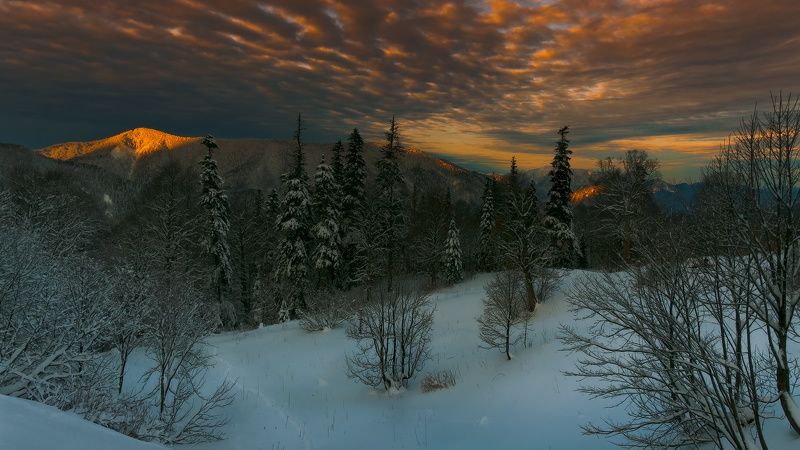 РАССВЕТ , ЗИМА И ВСЕ ТАКОЕ фото превью