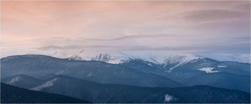 про йолки на ПП,на СП,на ЗП...куда не глянь-йолки... фото превью