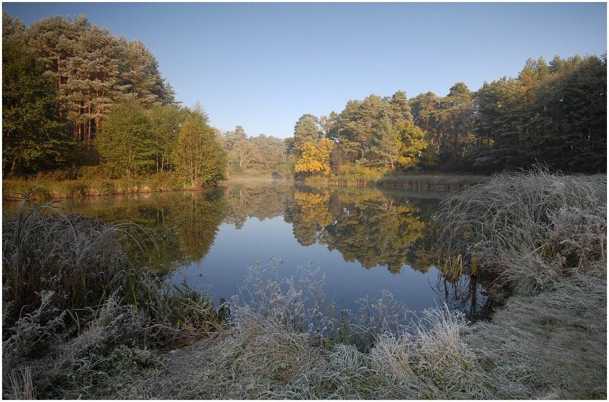 , Николай Шахманцир