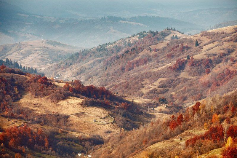 Карпатский ноябрь фото превью