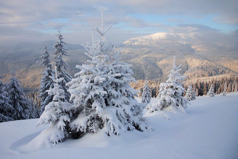 карпаты с наступающими... фото превью