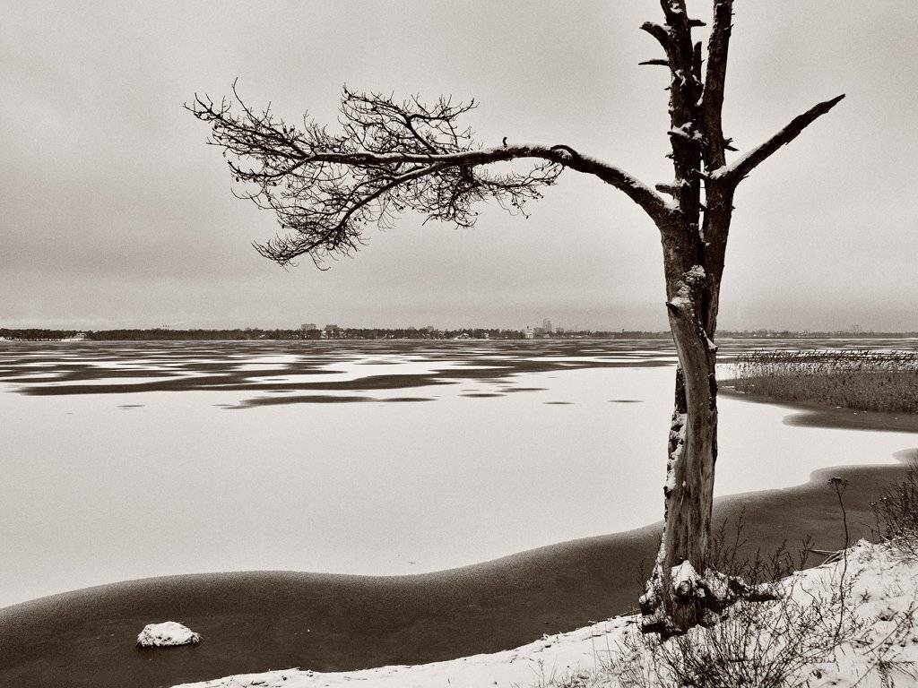 , Штабнов Юрий