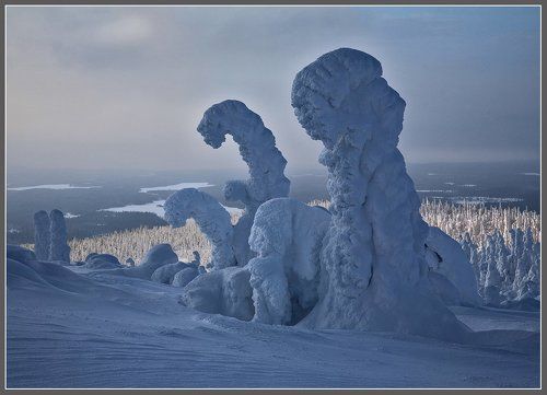 Уставшие путники зимы.
