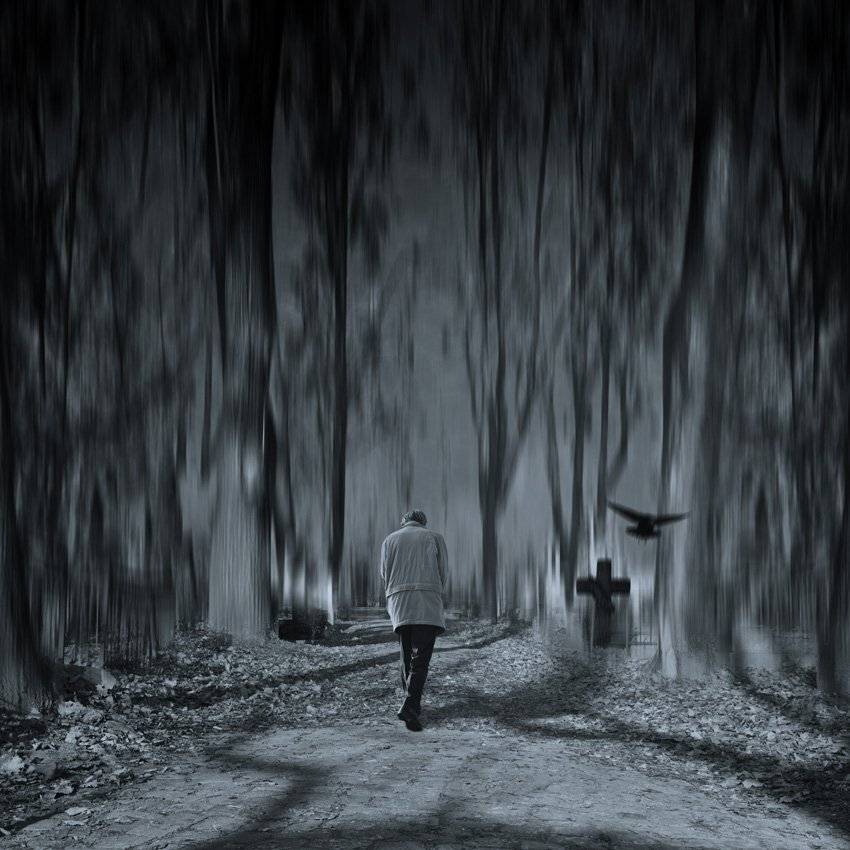 man, walk, cementary, crow, cross, tree, Caras Ionut