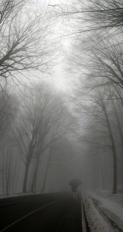how to disappear completely фото превью