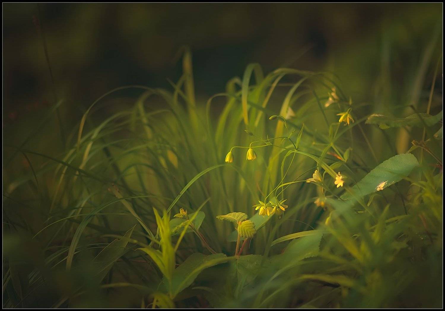 , Евгений Кирилкин.