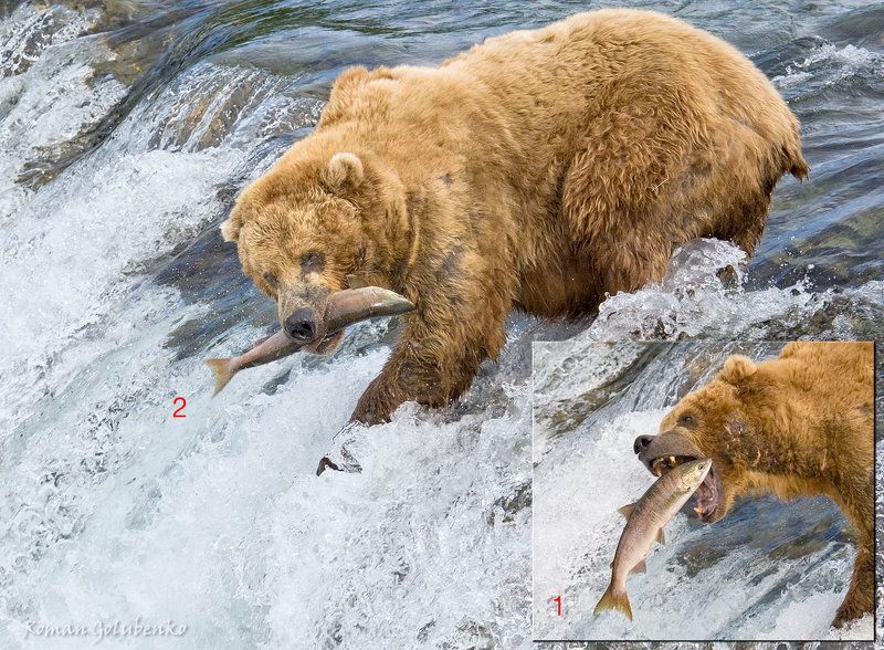 Завтрак туриста 2. Из серии Семейная Рыбалка фото превью