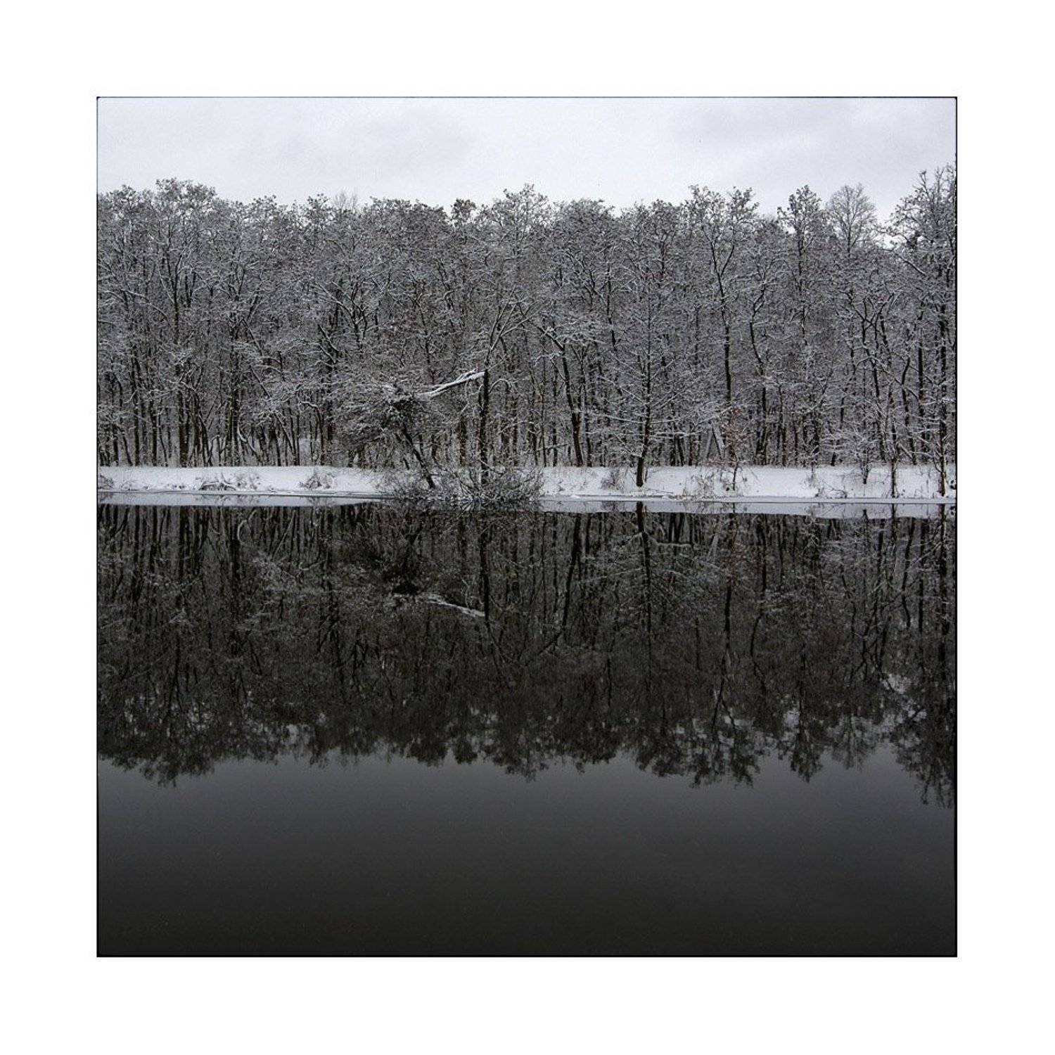 , Лариса Гурьева