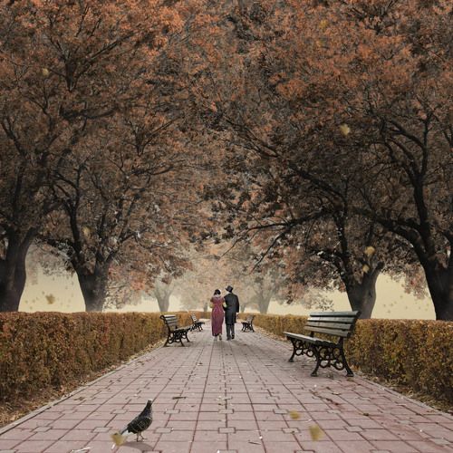 Walk on a sweet November II