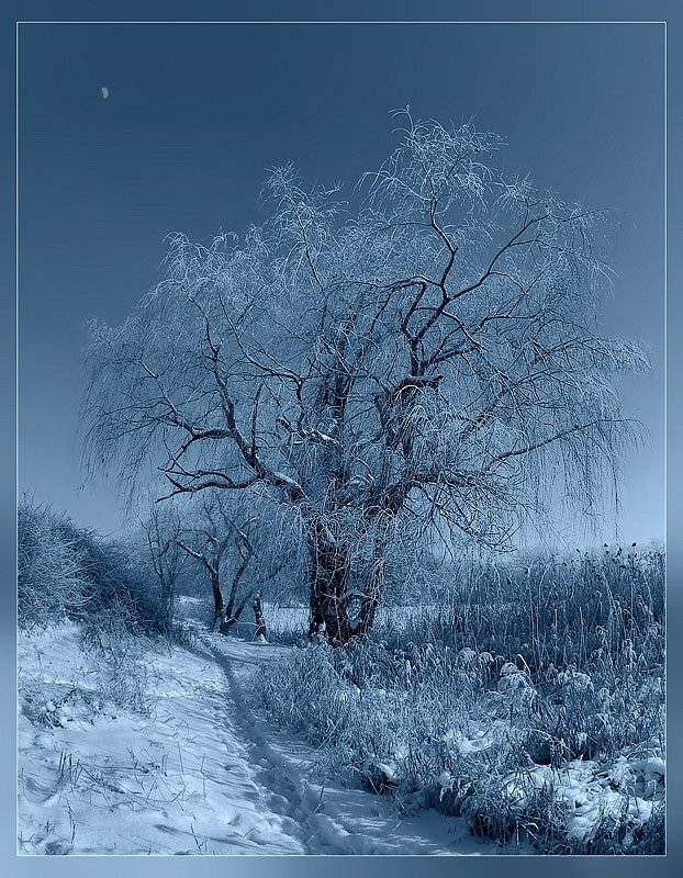 , Игорь Мелекесцев